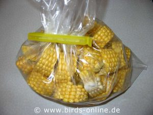 In kleine Portionen geschnittener frischer Mais lässt sich gut für den Winter einfrieren.