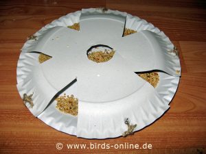 Trickreicher Futterteller für Heimvögel.