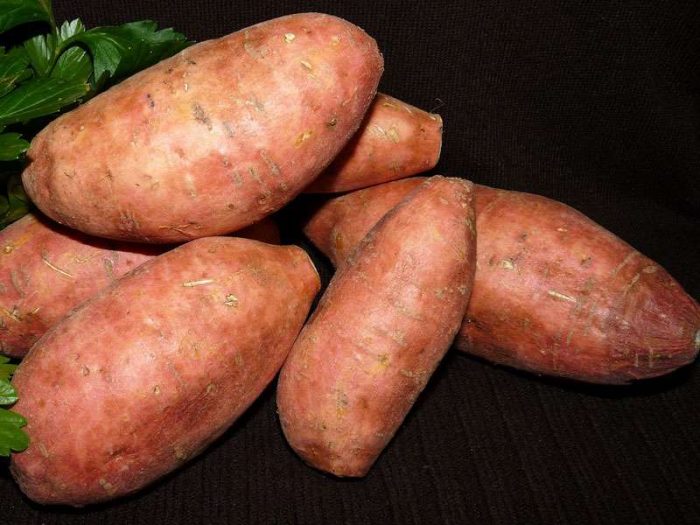 Süßkartoffeln, die Heimvögeln angeboten werden, sollten ohne Salz gekocht werden. © buntysmum/Pixabay