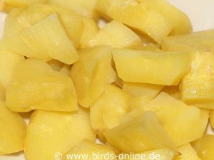 Ungesalzene gekochte Kartoffeln können Heimvögeln als Leckerbissen gereicht werden.