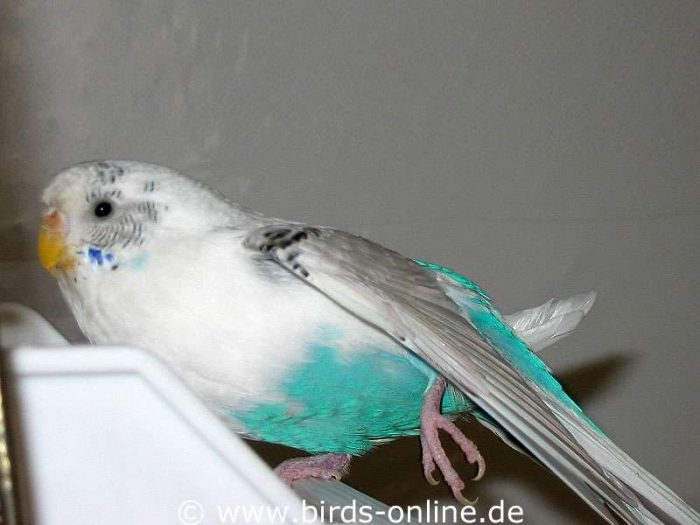 Dehnen des linken Beines