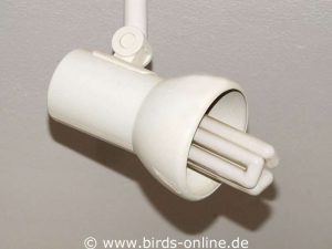 Eine kompakte Vogellampe in einer gängigen Lampenfassung.