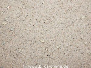 Vogelsand ist in unterschiedlichen Sorten erhältlich, hier ist feiner Sand mit ein wenig Grit zu sehen.