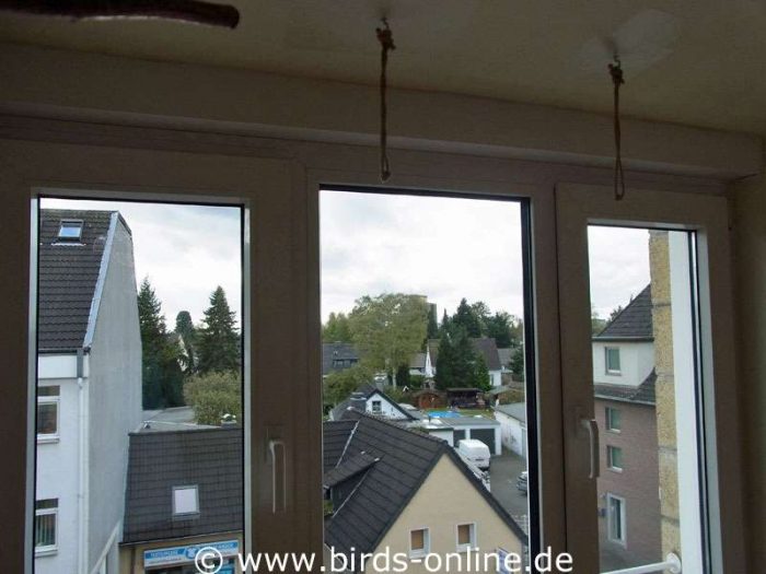 Dieselben drei Fenster nach der Behandlung mit dem BirdPen und mit Birdstickern – beides ist praktisch nicht zu sehen.