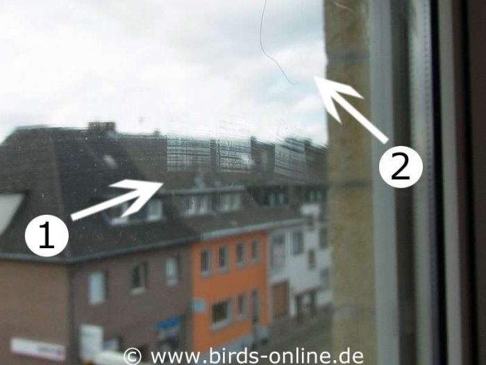 Aus der Nähe betrachtet, fallen die mit dem BirdPen aufgetragenen Doppelmarkierungen (1) und der Birdsticker (2) ein wenig auf.