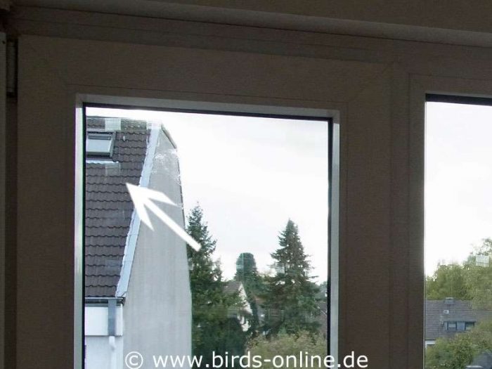 Der Pfeil eist auf eine doppelt aufgetragene BirdPen-Markierung, die direkt daneben oder darüber bzw. darunter liegende dünnere Einzelschicht ist hingegen nicht zu erkennen.