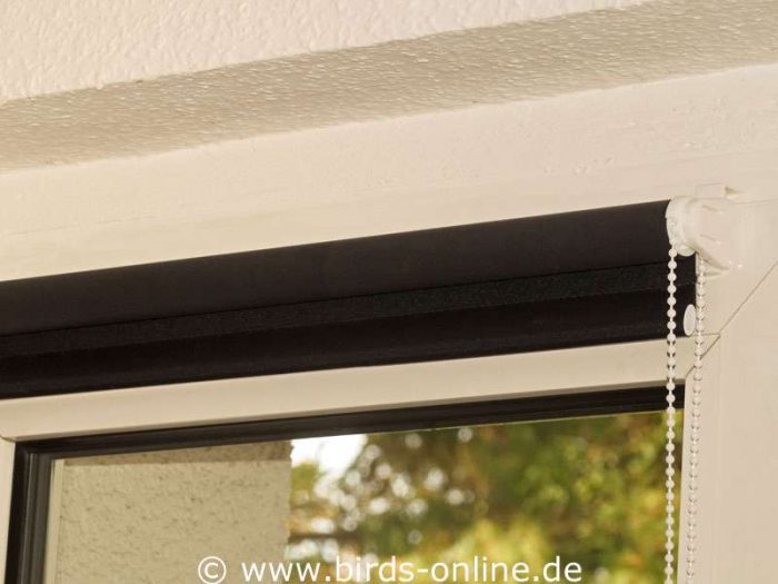 Nachbar Stellt Mülltonne Vor Mein Fenster Fenster verdunkeln – Birds Online