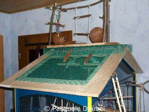 Das umgestaltete Volierendach ist für die Vögel zum Klettern und Spielen nutzbar.
