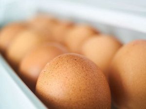 Jeden Tag ein Ei - das leisten Legehennen, und sie werden meist nur wenig älter als ein Jahr. © Engin Akyurt/Pixabay