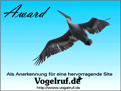 Vogelruf.de-Award, verliehen am 15. Dezember 2000.