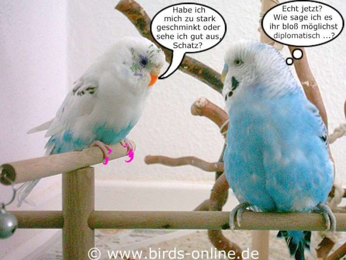 hundkatzemaus - Teil 6