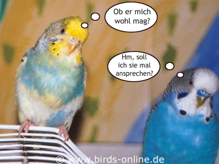 Medeas erste Liebe - Teil 2