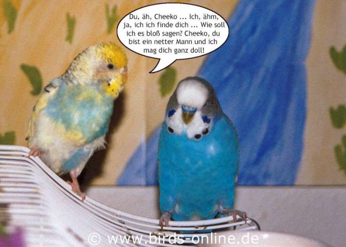 Medeas erste Liebe - Teil 3