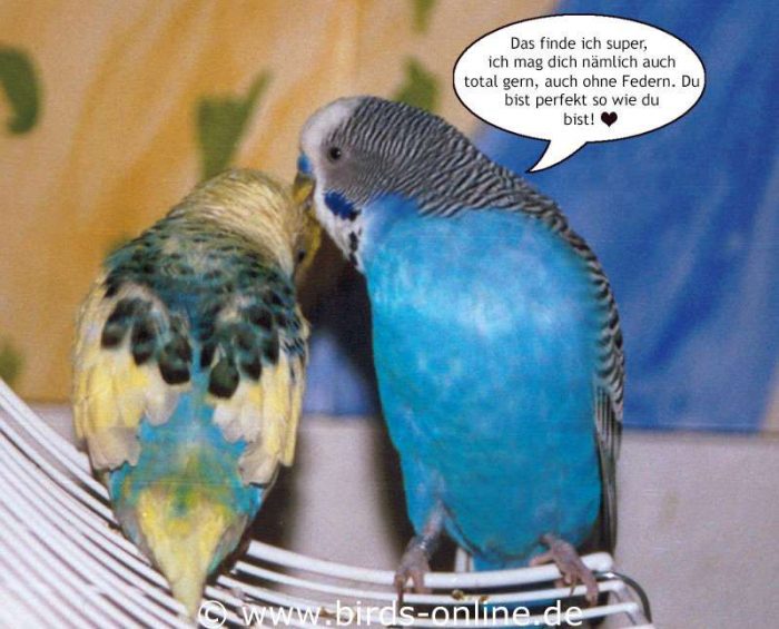 Medeas erste Liebe - Teil 4