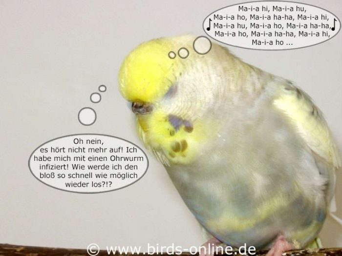 Der Ohrwurm - Teil 2