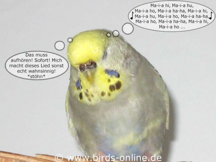 Der Ohrwurm - Teil 3