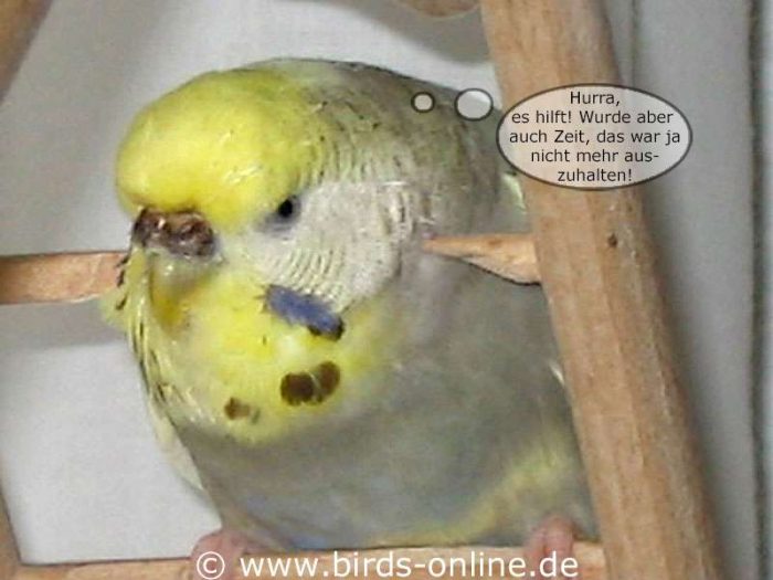 Der Ohrwurm - Teil 4