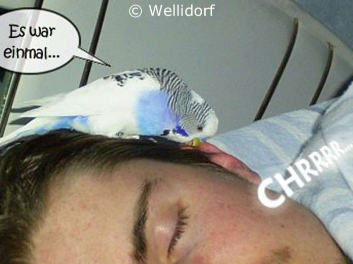 Flummi erzählt eine Gutenachtgeschichte.