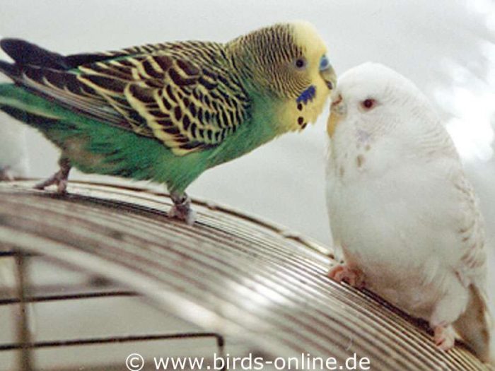 Genieß es einfach, Süße! – Rudi und Larissa.