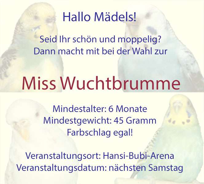 Plakat für den Wettbewerb 'Miss Wuchtbrumme'