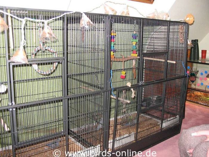 Die große Voliere der Vögel in ihrem neuen Zuhause