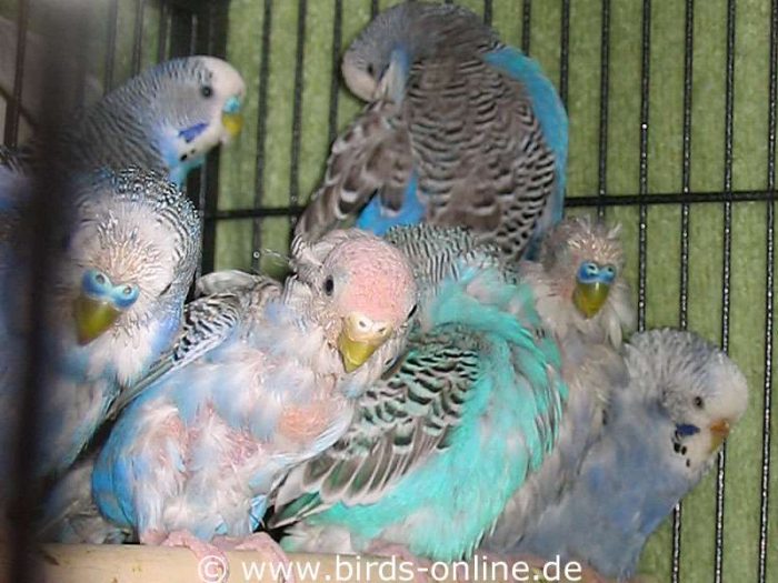 Eine eingeschworene Truppe