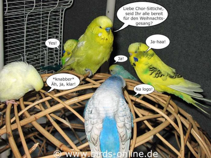 Fest der Liebe - Teil 1