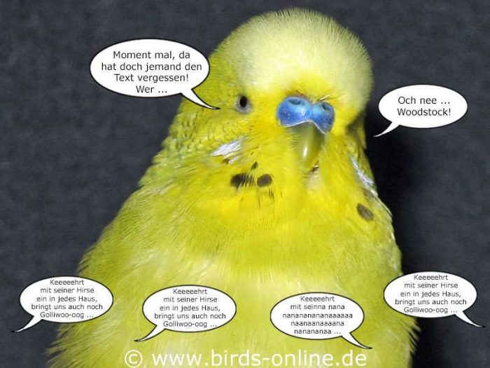 Fest der Liebe - Teil 3