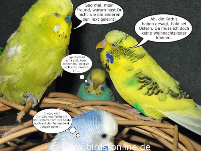 Fest der Liebe - Teil 4