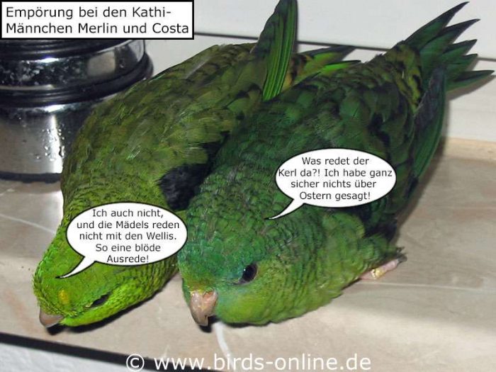 Fest der Liebe - Teil 5