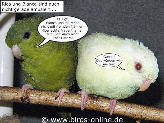 Fest der Liebe - Teil 6