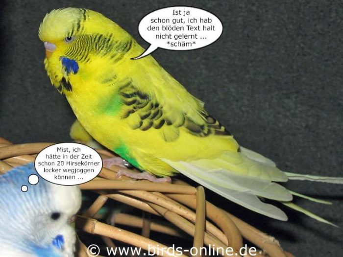 Fest der Liebe - Teil 7