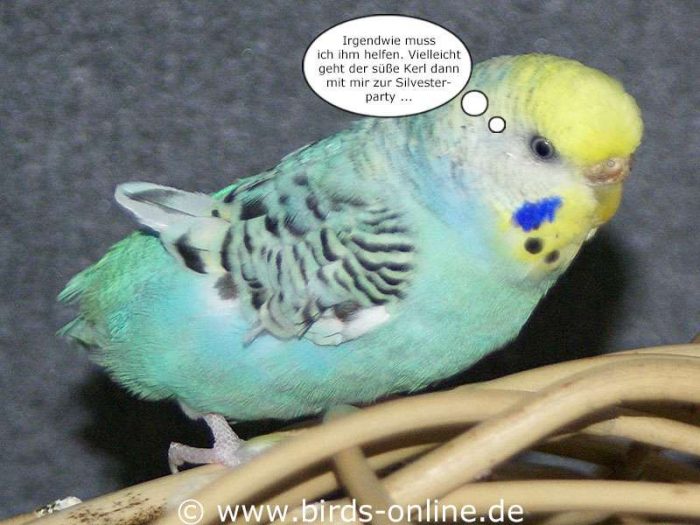 Fest der Liebe - Teil 8