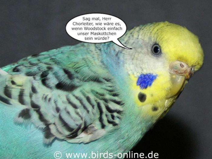 Fest der Liebe - Teil 9