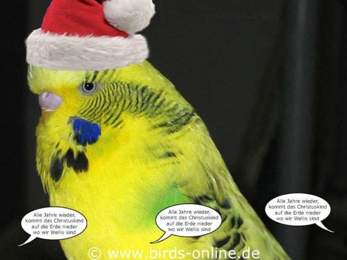 Fest der Liebe - Teil 10