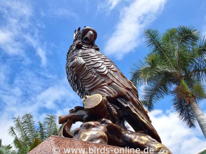 Eine der beiden großen Kakadu-Statuen am Eingang