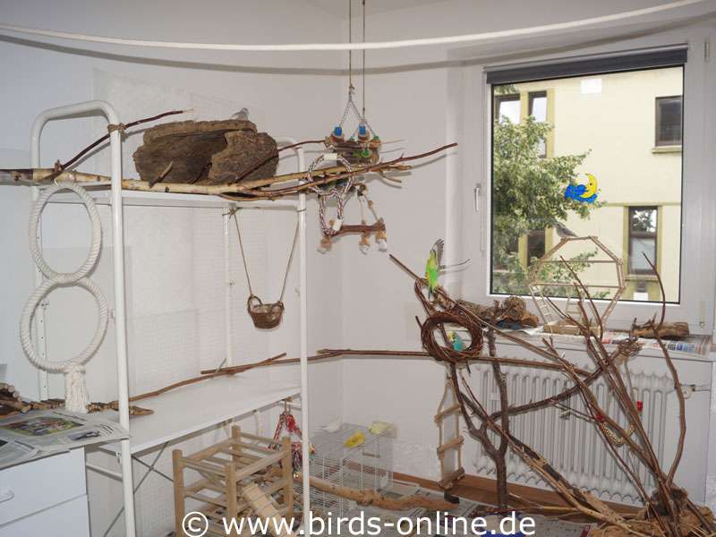 Von 2016 bis 2019 bewohnten die Vögel ein schmales und langes Zimmer, in dem sie ihre beliebten Kletterbäume und Seile selbstverständlich auch zur Verfügung hatten.