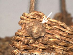 Ein dicker Knoten hält das durch die Matte gefädelte Seil in Position.